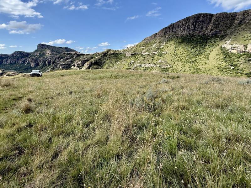 0 Bedroom Property for Sale in Fouriesburg Free State